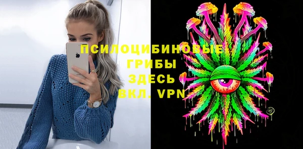 метадон Осташков