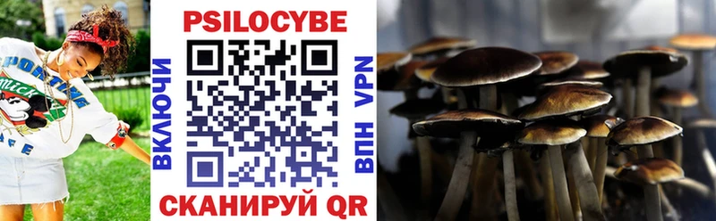 Галлюциногенные грибы MAGIC MUSHROOMS  наркотики  Верхотурье 